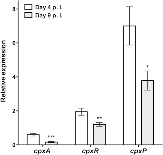 FIG 7