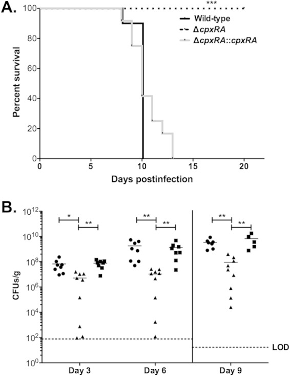 FIG 6