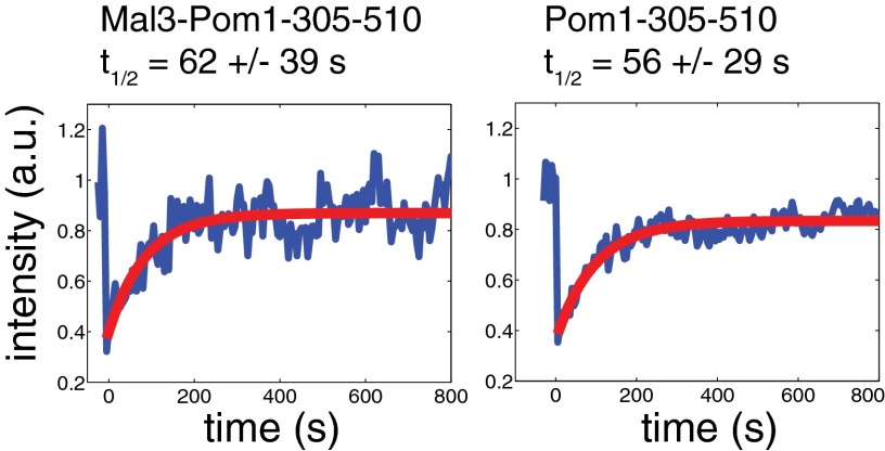 Fig. S3.