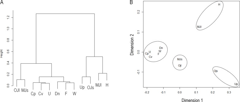 Fig 6