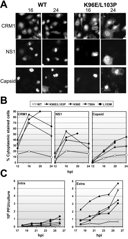 FIG. 6.