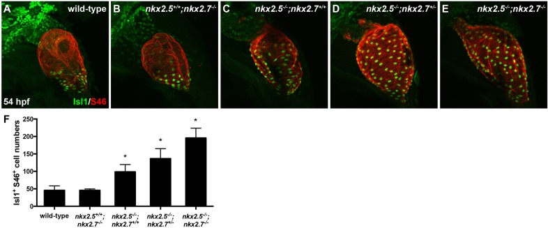 Fig. 4.