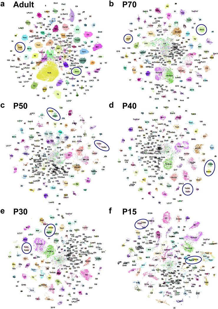 Extended Data Figure 7: