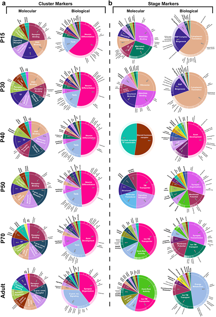 Extended Data Figure 11: