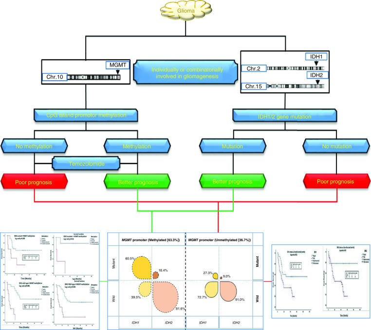 graphic file with name fsoa-07-663-GA.jpg