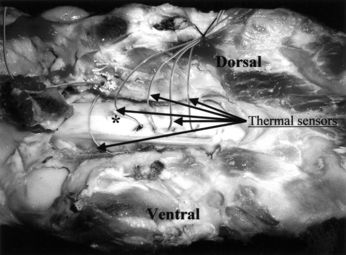 Fig. 2