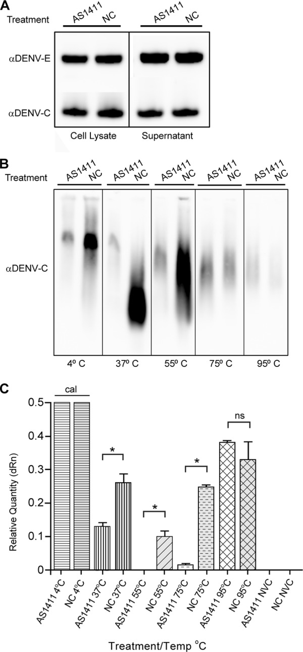 Fig 10