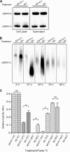 Fig 10