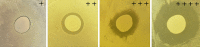 FIG 1