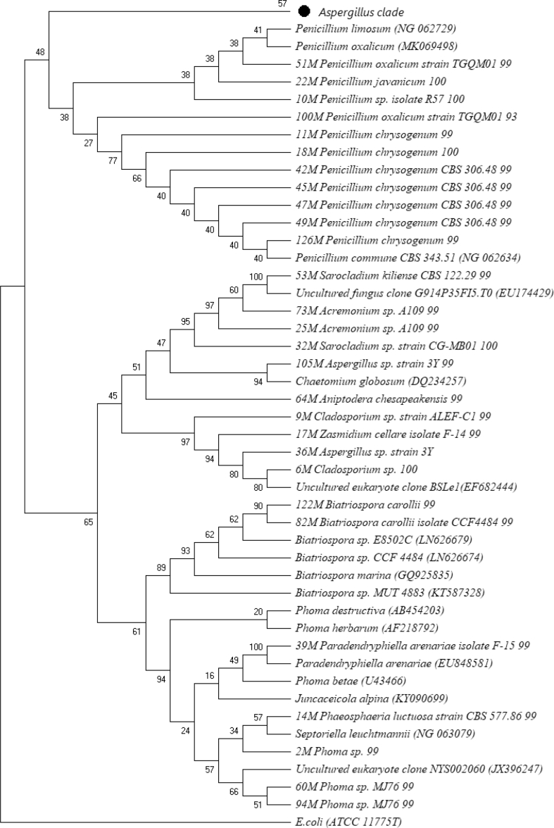 Figure 1