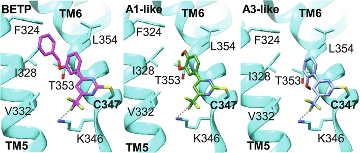 Figure 9: