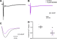 Figure 12.