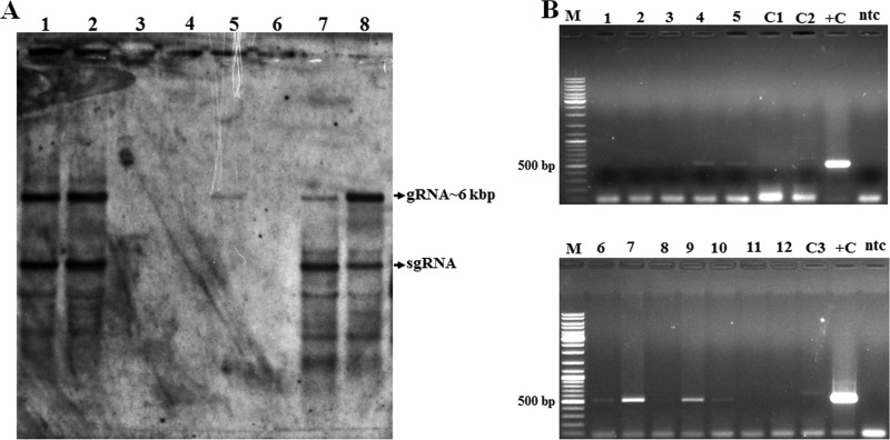 FIG 6