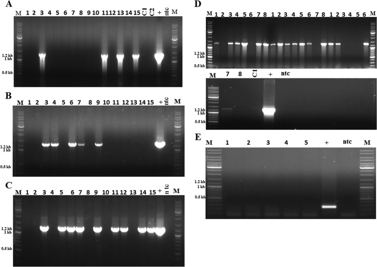 FIG 2