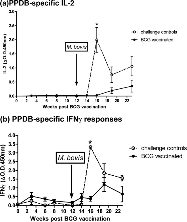 FIG 4