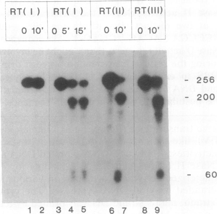 graphic file with name pnas01077-0144-a.jpg