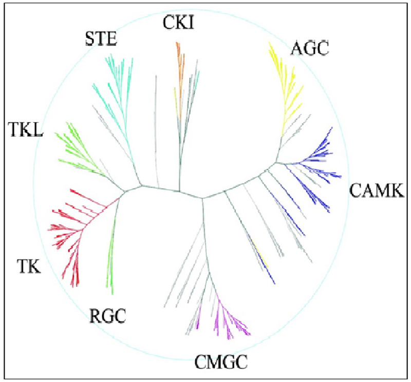 Figure 1: