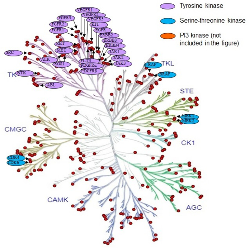 Figure 2: