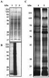 FIG. 5