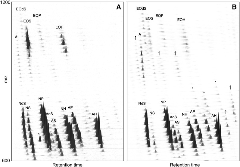 Fig. 7.