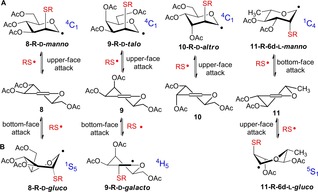 Scheme 6