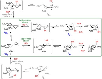 Scheme 5