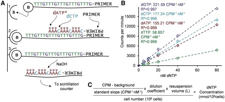 Figure 1: