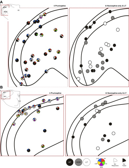 Fig. 10.