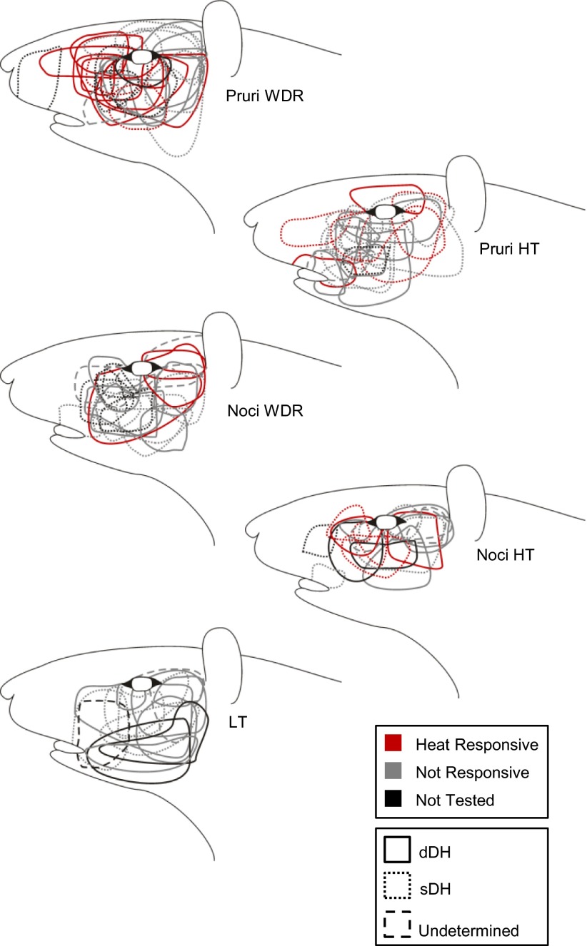 Fig. 12.