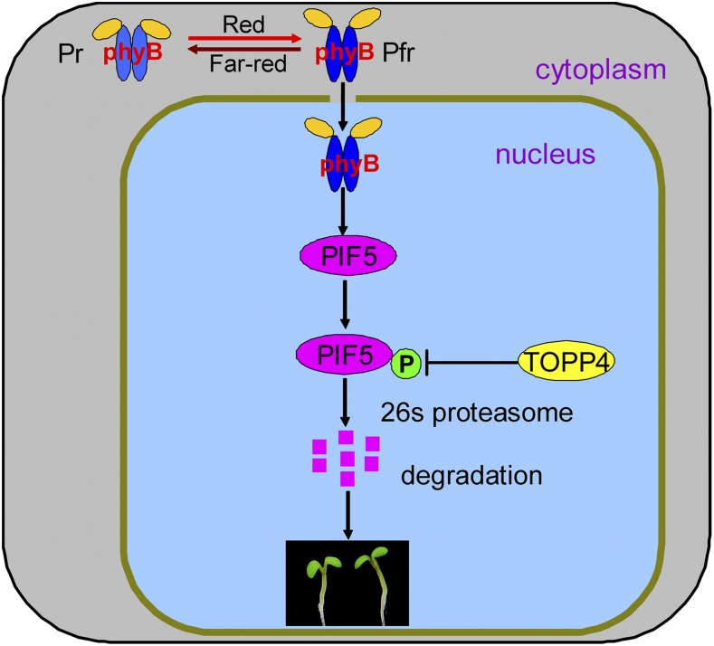 Figure 10.