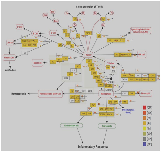 Fig 13