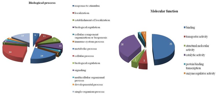 Fig 12