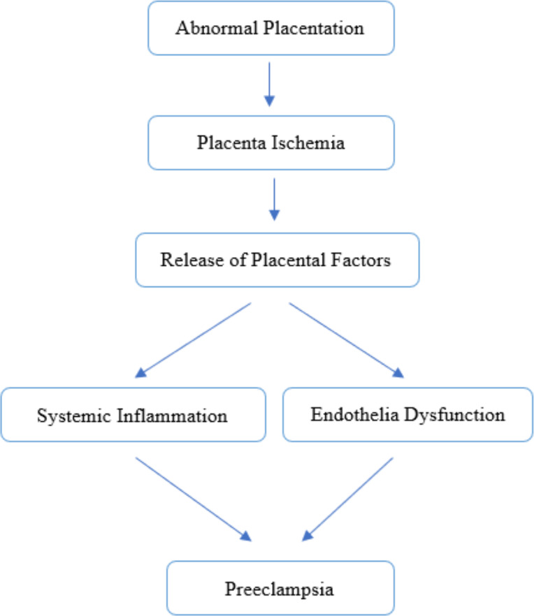 Fig. 1: