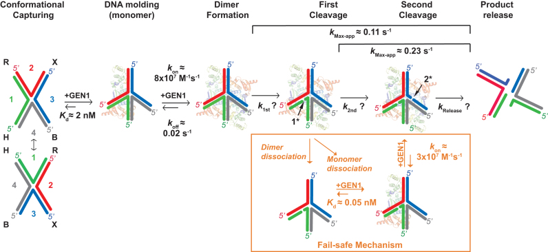 Figure 6.