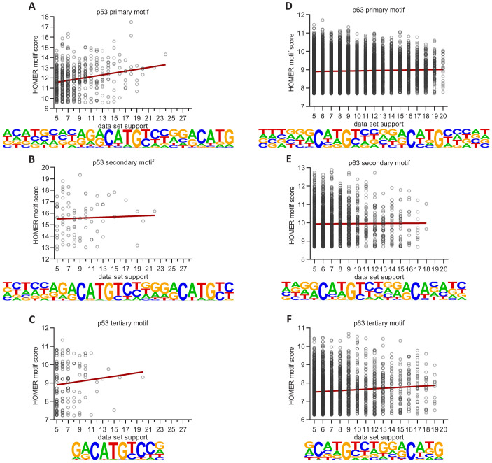 Figure 5—figure supplement 2.