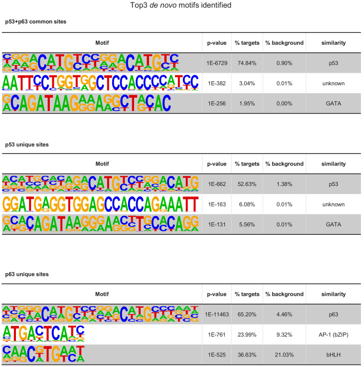 Figure 5—figure supplement 3.