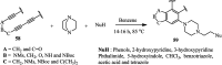 Scheme 21