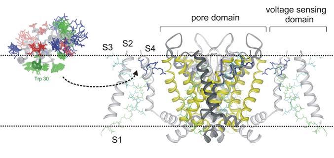 Fig.9