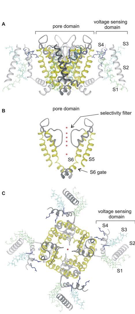 Fig.1