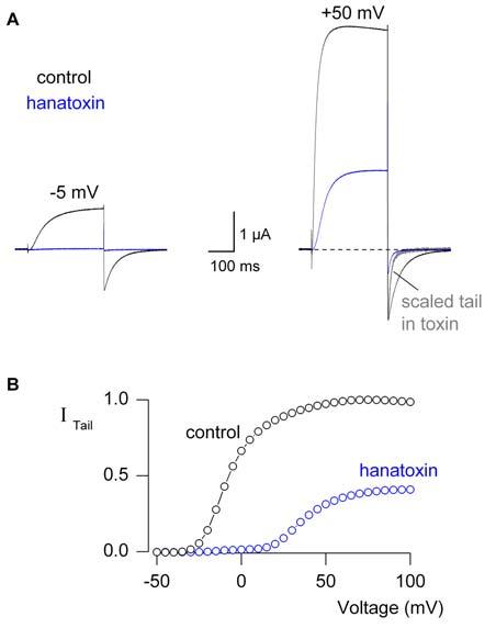 Fig.3