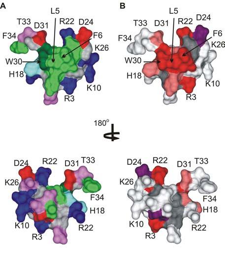 Fig.7