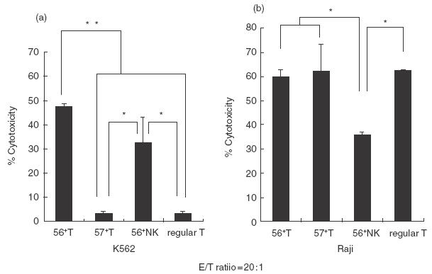 Fig.2