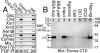 FIGURE 11.