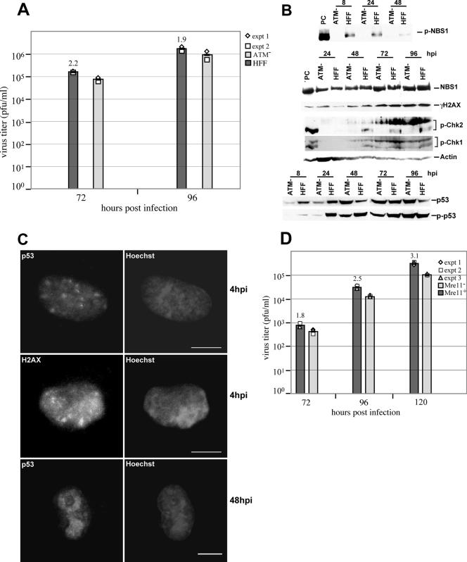 FIG. 9.