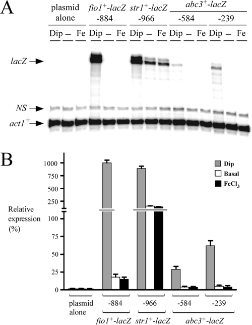 FIG. 3.