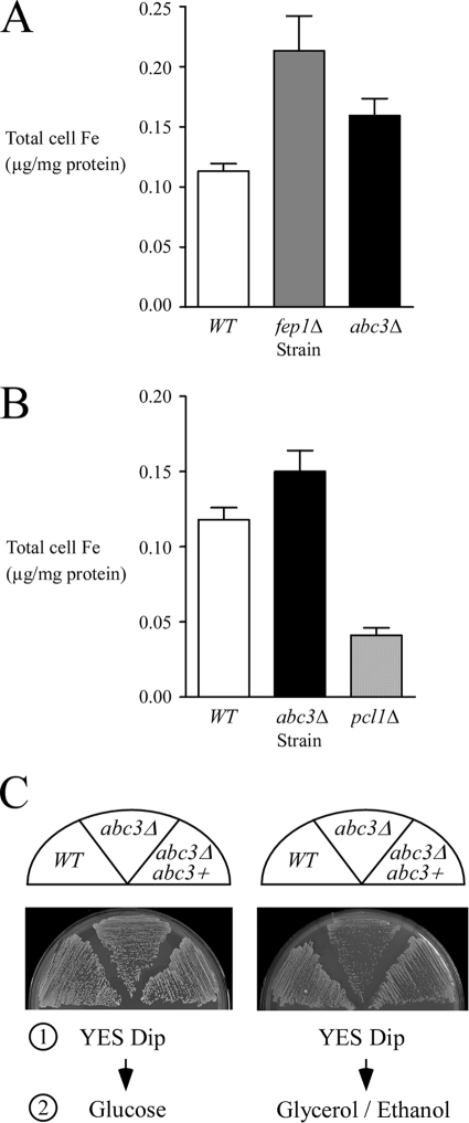 FIG. 8.