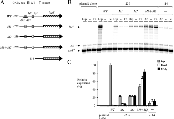 FIG. 4.