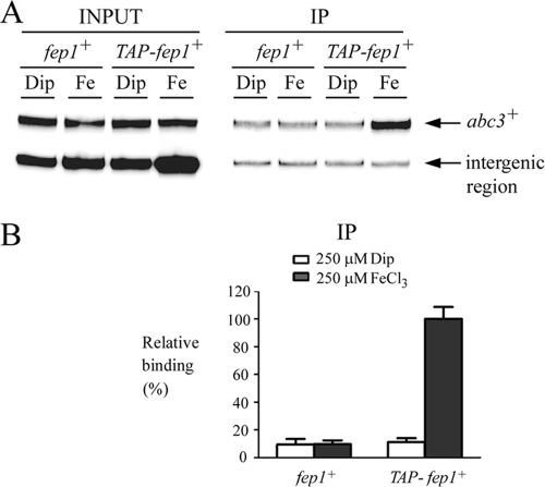 FIG. 6.