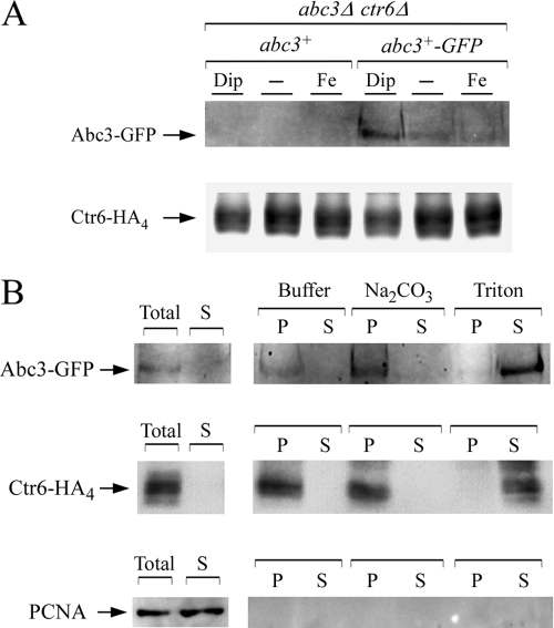 FIG. 9.