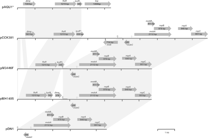 Fig. 2